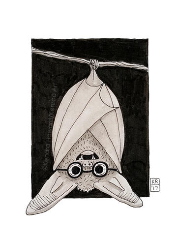 Bat - 2017